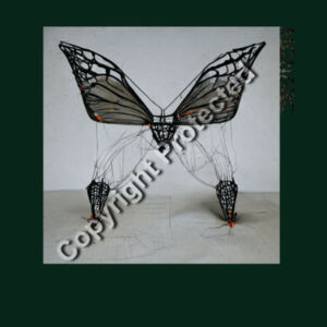 monarc classic Design